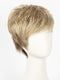 G14+ ALMOND MIST | Light brown base w/ medium golden blonde highlights