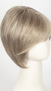 G17+ VANILLA MIST | Cool, ash blonde with lighter tones through the top and sides, progressing to a deeper ash blonde nape