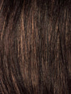 CINNAMON RAISIN | Medium Brown with Auburn and Cinnamon highlights