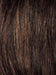 CINNAMON RAISIN | Medium Brown with Auburn and Cinnamon highlights