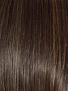 DARK BROWN HL | A Blend of Dark Brown, Strawberry Light Auburn and Soft Chunky Medium and Dark Blonde Highlights