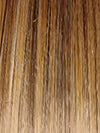 GF11-25SS HONEY PECAN | Chestnut Brown base blends into multi-dimensional tones of Brown and Golden Blonde