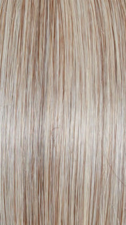 GF119 SILVER AND SMOKE | Light Brown With 80% Gray in Front Gradually Blended Into 50% Gray in Nape Area