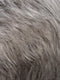 R51LF60 | Off Black with 75% Grey Lightening to Gold Blonde Mix in Front