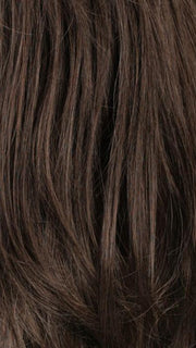 R6/10 | Chestnut Brown and Medium Ash Brown Blend