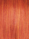 SS31 ROOTED FLAME | Rich Red with orange highlights throughout