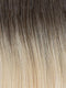RH22/26SS SHADED FRENCH VANILLA | Platinum Blonde with Medium Blonde Highlights from dark roots to ends