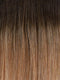 RH25/27SS SHADED BUTTERSCOTCH | Medium Golden Blonde with Strawberry Blonde highlights from dark roots to ends