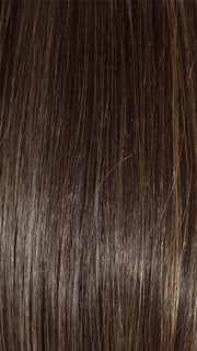 DARK BROWN HL | A Blend of Dark Brown, Strawberry Light Auburn and Soft Chunky Medium and Dark Blonde Highlights.