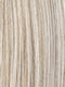 CHAMPAGNE MIX 22.16.20 | Light Neutral Blonde and Medium Blonde with Light Strawberry Blonde Blend