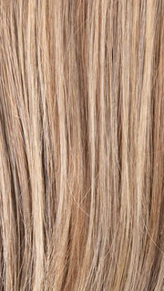 BERNSTEIN MULTI SHADED 12.26.27 | Lightest Brown and Light Golden Blonde blend with Dark Strawberry Blonde and Shaded Roots