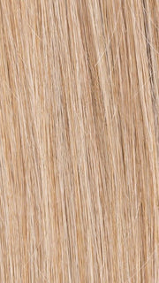 CHAMPAGNE MIX 22.26.20 | Light Neutral Blonde and Light Golden Blonde with Light Strawberry Blonde Blend