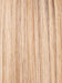 SAND ROOTED 14.26.20 | Light Brown, Medium Honey Blonde, and Light Golden Blonde blend with Dark Roots