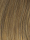 GL14-16 HONEY TOAST | Dark Blonde with Golden highlights
