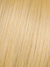 R22 SWEDISH BLONDE | Cool Platinum Blonde, Salon Processed Blonde