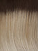 10/613GR | Medium Brown Roots transition into a Light Ash Blonde with Platinum Blonde Highlights 