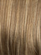 12/26H | A Blend of Light Golden Brown and Light Blonde with Golden Blonde Highlights