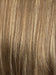 12/26H | A Blend of Light Golden Brown and Light Blonde with Golden Blonde Highlights