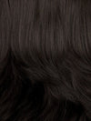 1BH | Off Black with Medium Dark Brown Highlights