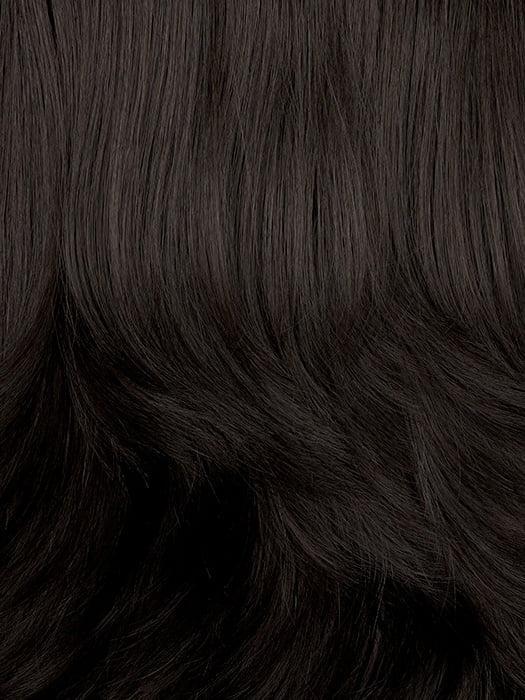 1BH | Off Black with Medium Dark Brown Highlights