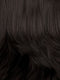 1BH | Off Black with Medium Dark Brown Highlights