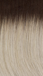 60/101GR | Silver tones with Light Platinum Highlights and Brown Roots 