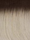 60/101GR | Silver tones with Light Platinum Highlights and Brown Roots 