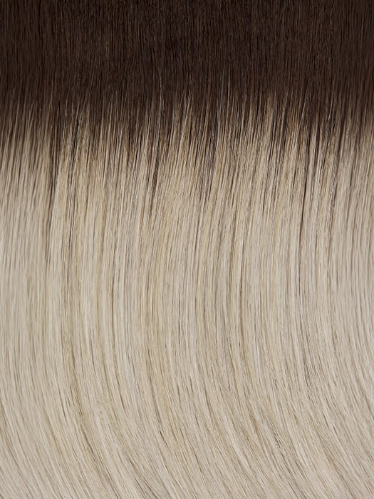 60/101GR | Silver tones with Light Platinum Highlights and Brown Roots 