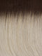 60/101GR | Silver tones with Light Platinum Highlights and Brown Roots 