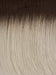 60/101GR | Silver tones with Light Platinum Highlights and Brown Roots 