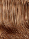 8/27/33H | A Blend of Medium Brown and Golden Blonde with Strawberry and Auburn Highlights