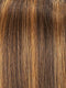 6F27 CARAMEL RIBBON | Brown with Light Red-Gold Blonde Highlights & Tips