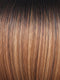 Phillipa | Synthetic Lace Front Wig (Lace Part)