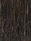 2/4R | Very Dark Brown with highlights