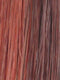 SHEER-PLUM | Dark Auburn and Bright Red blend