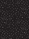 DARK-SKY