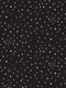 DARK-SKY