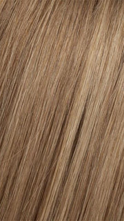 8/14T  | Light Chestnut Brown tipped w/ Honey Blonde