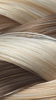 12/24B/104 TWISTED PRALINE | Light Gold Brown, Light Gold Blonde, Pale Natural White/Blonde