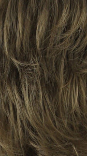 12GR Light Golden Brown with Honey Blonde Front