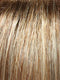 14/26S10 SHADED PRALINES N' CREAM | Light Gold Blonde & Medium Red-Gold Blonde Blend, Shaded with Light Brown