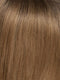 2-4  | Root 04/12