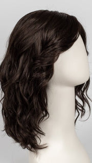 R4/6 | Dark Brown and Chestnut Brown Blend