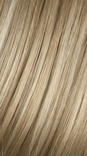 223/23C SUGAR COOKIE | Meduim Honey Blonde with Light Blonde blends and Platinum Blonde highlights