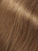 24B18 CHURRO | Dark Natural Ash Blonde & Light Gold Blonde Blend