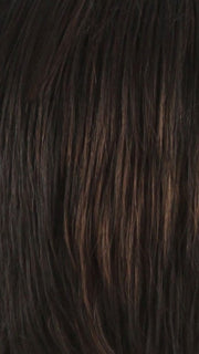 2F33 | Darkest Brown with Dark Auburn Highlight