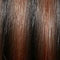 4F27 | Dark Brown with Strawberry Blonde Highlight