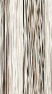 56R Silver Lining |  Silver Grey with a small amount of Brown