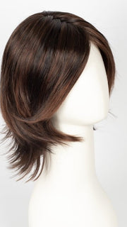 SS4/33 SHADED EGGPLANT | Dark Dark Brown with Subtle Warm Highlights Roots