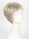 R23S+ GlAZED VANILLA |  Cool Platinum Blonde With Almost White Highlights